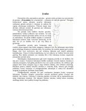 Prenatalinis periodas. Gimdymas 3 puslapis