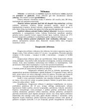 Prenatalinis periodas. Gimdymas 4 puslapis