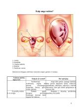 Prenatalinis periodas. Gimdymas 8 puslapis