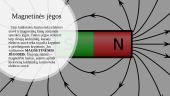 Magnetinio lauko poveikis gyviems organizmams 5 puslapis