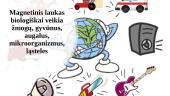 Magnetinio lauko poveikis gyviems organizmams 7 puslapis