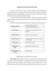 Pridėtinės vertės mokestis (PVM) ir jo taikymo problemos 3 puslapis