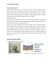 Priešgaisrinės apsaugos sistemos 5 puslapis