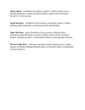 Autorių biografiniai kontekstai 3 puslapis