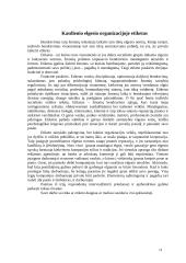 Profesinės etikos klausimai 11 puslapis