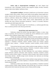 Profesinės ligos ir jų sauga 7 puslapis