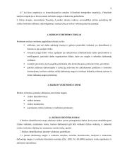 Profesinės rizikos vertinimo įmonėje organizavimas 5 puslapis