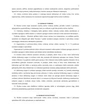 Profesinės rizikos vertinimo įmonėje organizavimas 7 puslapis