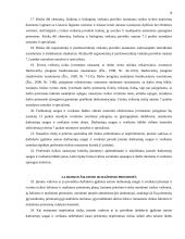 Profesinės rizikos vertinimo įmonėje organizavimas 8 puslapis