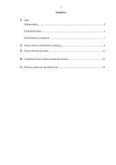 Profesinės veiklos praktika: vandens ūkio objektų tyrinėjimas ir projaktavimas UAB "Hidroprojektas" 2 puslapis