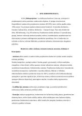 Profesinės veiklos praktika: vandens ūkio objektų tyrinėjimas ir projaktavimas UAB "Hidroprojektas" 3 puslapis