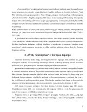 Proto nutekėjimo į Europos Sąjungą (ES) ir kitas šalis vertinimas ir prognozė 6 puslapis