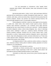 Protokolo pagrindai 4 puslapis