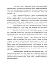 Protokolo pagrindai 7 puslapis