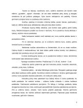 Protokolo pagrindai 8 puslapis