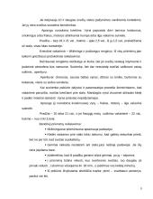 Protokolo pagrindai 9 puslapis