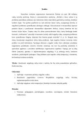 Neįgaliųjų vaikų teisė į mokslą referatas 3 puslapis
