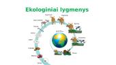 Ekosistema – svarbus ekologinis vienetas 4 puslapis