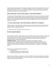 Radiologinis ginklas 11 puslapis