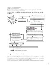 Radiologinis ginklas 16 puslapis