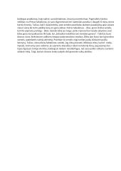 Tėvo paveikslas lietuvių literatūroje (Antanas Škėma, Jonas Biliūnas) 2 puslapis