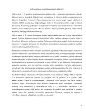 Raštvedybos istorija 14 puslapis