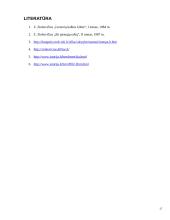 Raštvedybos istorija 17 puslapis