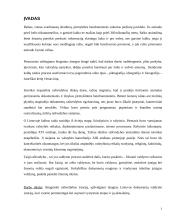 Raštvedybos istorija 3 puslapis