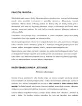 Raštvedybos istorija 4 puslapis