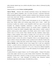 Raštvedybos istorija 6 puslapis