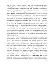 Raštvedybos istorija 7 puslapis