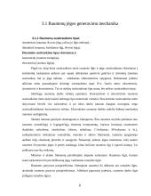 Raumenų biomechanika ir sąnariai 5 puslapis