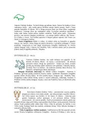 Regimasis planetų judėjimas 6 puslapis