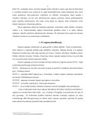 Regionų ekonomika. Pagrindinės regionų ekonomikos sąvokos 4 puslapis