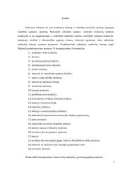 Gyventojų pajamų mokestis arba GPM 3 puslapis