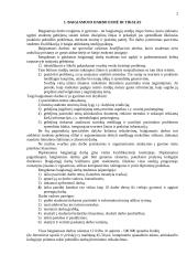 Reikalavimai baigiamajam rašto darbui 2 puslapis