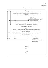 Reikalavimai baigiamajam rašto darbui 13 puslapis
