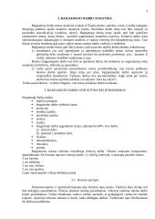 Reikalavimai baigiamajam rašto darbui 3 puslapis