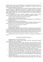 Reikalavimai baigiamajam rašto darbui 8 puslapis
