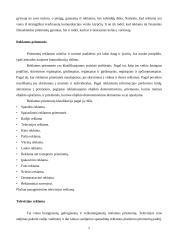 Reklamos apibrėžimas 5 puslapis