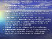 Išsamus lietuvių literatūros kurso kartojimas 3 puslapis