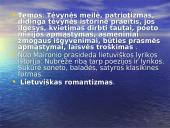 Išsamus lietuvių literatūros kurso kartojimas 7 puslapis