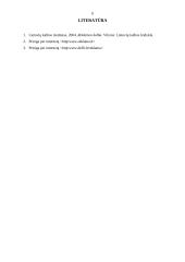 Reklamos kalba 6 puslapis