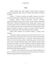 Reklamos tipai 2 puslapis