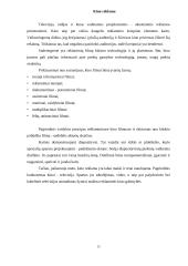 Reklamos tipai 12 puslapis