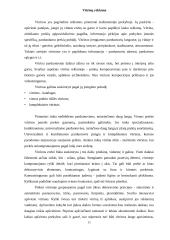 Reklamos tipai 15 puslapis