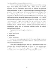 Reklamos tipai 16 puslapis