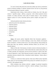 Reklamos tipai 17 puslapis