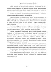 Reklamos tipai 20 puslapis