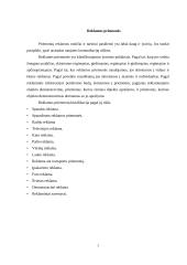 Reklamos tipai 3 puslapis